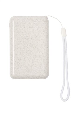 Surum Powerbank