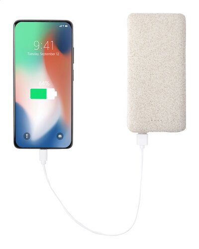 Surum XL Powerbank