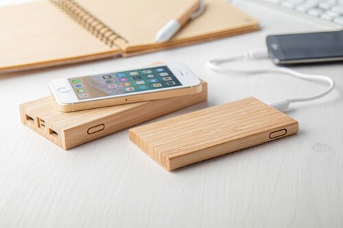 Wooster Powerbank