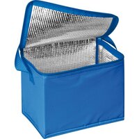 Kühltasche für 6 Dosen à 05l