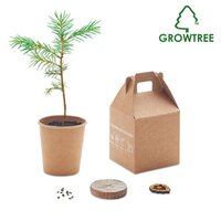 GROWTREE Kiefernsamen-Set