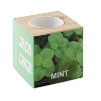 MENTA Kräuterpflanz-Set Minze